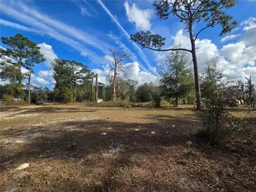 CRYSTAL RIVER FL Property