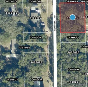 ALTOONA FL Property