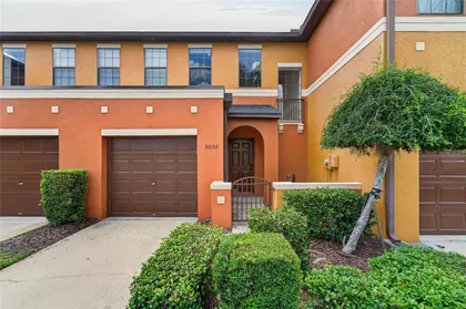 WESLEY CHAPEL FL Home