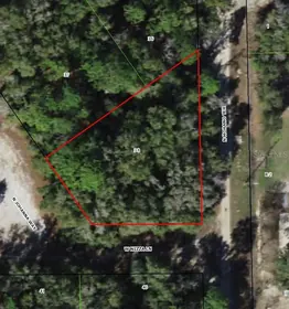 CRYSTAL RIVER FL Property