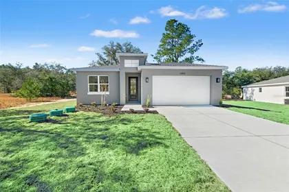 CITRUS SPRINGS FL Home