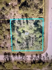 LEHIGH ACRES FL Property