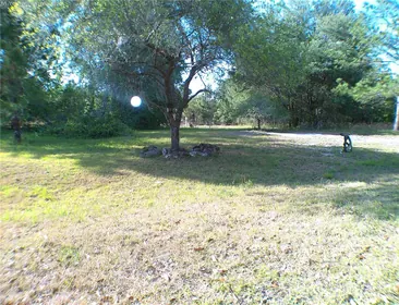 OCKLAWAHA FL Property