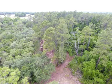 CRESCENT CITY FL Property
