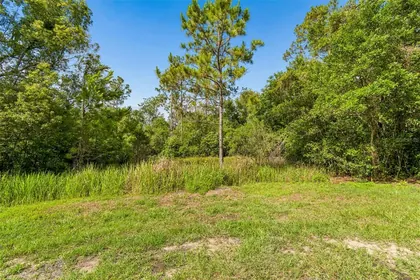 DADE CITY FL Property