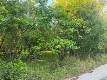 ARCADIA FL Property