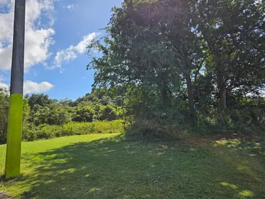 GURABO PR Property