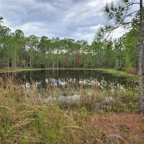 LAKE WALES FL Property