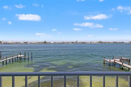 TIERRA VERDE FL Home
