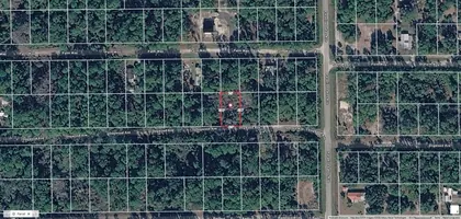 GEORGETOWN FL Property
