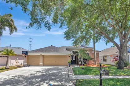 TAMPA FL Home