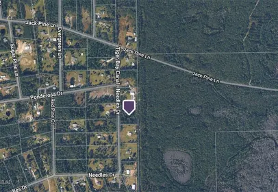 ORMOND BEACH FL Property