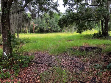 WIMAUMA FL Property