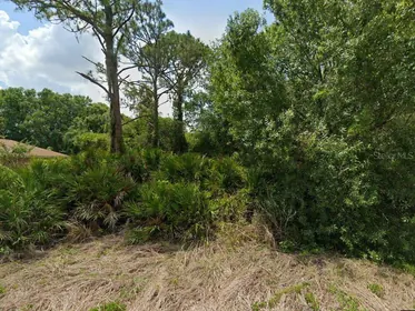 SEBRING FL Property