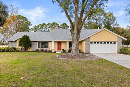 MOUNT DORA FL Home