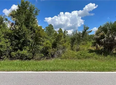 PUNTA GORDA FL Property