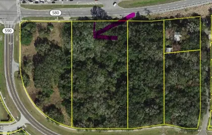 SAFETY HARBOR FL Property
