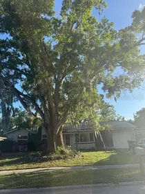 WINTER PARK FL Home