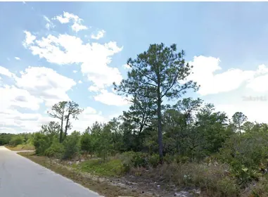LAKE PLACID FL Property
