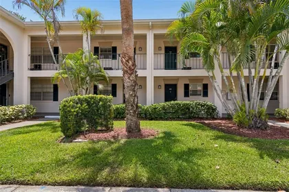 TAMPA FL Home