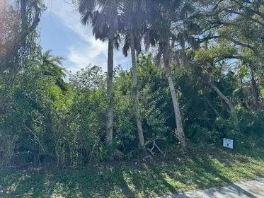 ENGLEWOOD FL Property