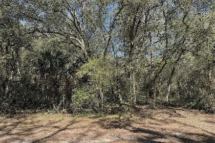 ORANGE CITY FL Property