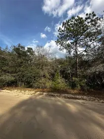 INTERLACHEN FL Property