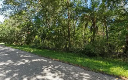 HOMOSASSA FL Property