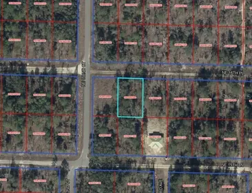 WILLISTON FL Property