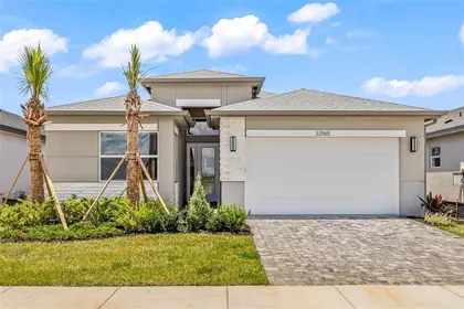 WESLEY CHAPEL FL Home
