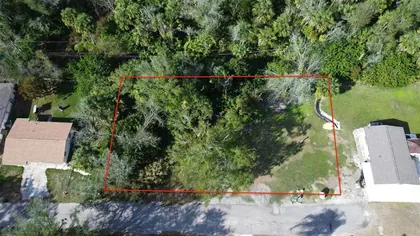 ARCADIA FL Property