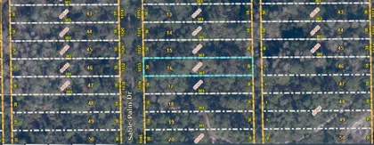 CHRISTMAS FL Property