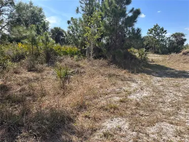 LEHIGH ACRES FL Property