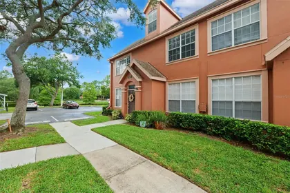 TAMPA FL Home