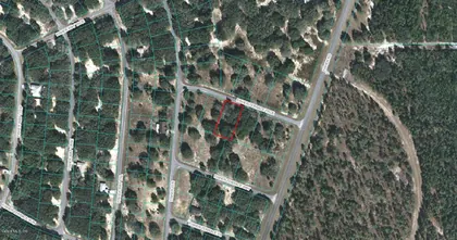 OCKLAWAHA FL Property