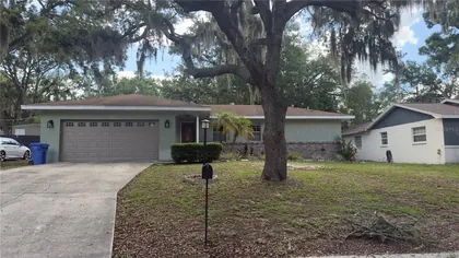 BRANDON FL Home