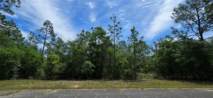 CHIPLEY FL Property