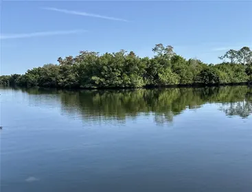 ST PETERSBURG FL Home