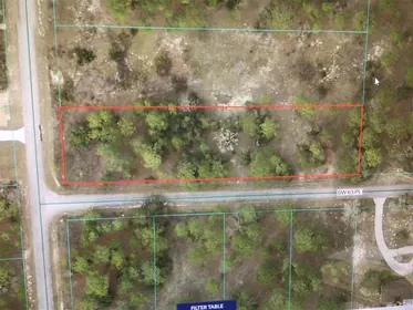 DUNNELLON FL Property