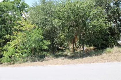 BABSON PARK FL Property