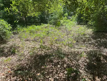 CRYSTAL RIVER FL Property
