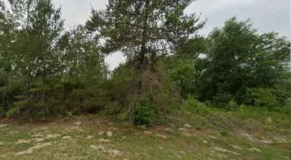 OCALA FL Property