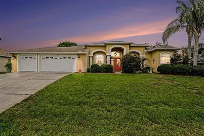 SPRING HILL FL Home