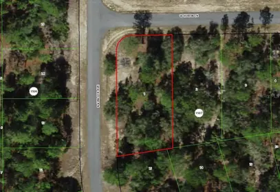 DUNNELLON FL Property