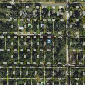 BELLEVIEW FL Property