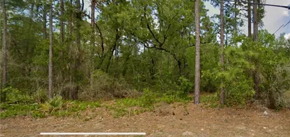 CITRUS SPRINGS FL Property
