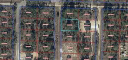 WILLISTON FL Property