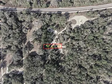 CITRA FL Property