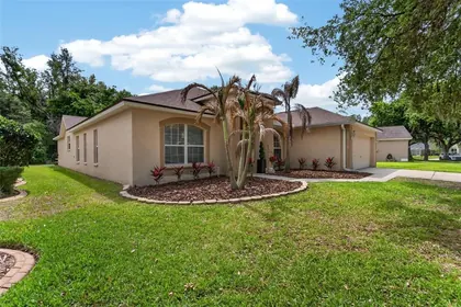 LITHIA FL Home