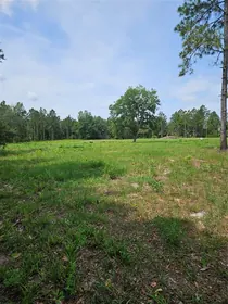 GENEVA FL Property